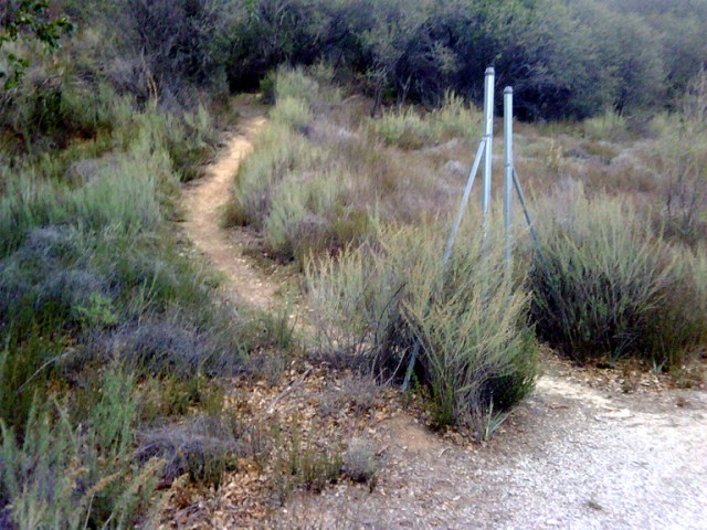 Trail